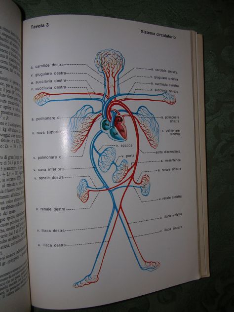 BIOLOGIA - Foto 5