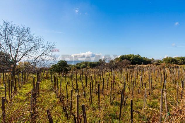 Terreno in vendita a Biancavilla - Foto 2