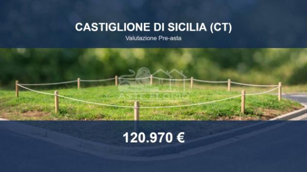 Immobile in asta di 18981 m² in vendita a Castiglione di Sicilia