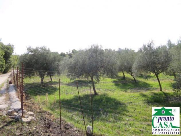 Terreno agricolo a Giarratana con pozzo artesiano - Foto 2