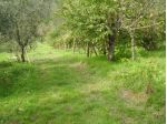 Terreno edif. residenziale in vendita a Margine Coperta - Massa e Cozzile 9 &hellip;
