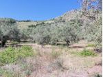 COD 0129 Terreno 10.700 mq c/da Greco