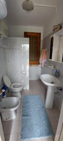 angolo verde
In mezzo al verde, magazzino realizzato con ingresso, zona cucina e camera e bagno (Non è censito come abitazione e non è possibili farlo - Foto 14