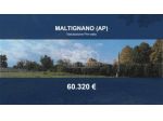 Immobile in asta di 7944 m² in vendita a Maltignano
