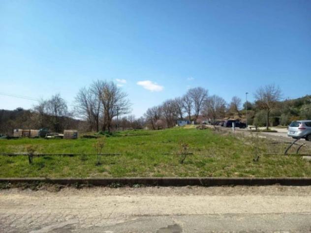 Immobile in asta di 2930 m² in vendita a Monteleone d'Orvieto - Foto 3