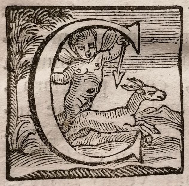 (Importante Settecentina Lucca/Pisa)  ALEXANDRI POLITI…ORATIONES XII AD ACADEMIA - Foto 4