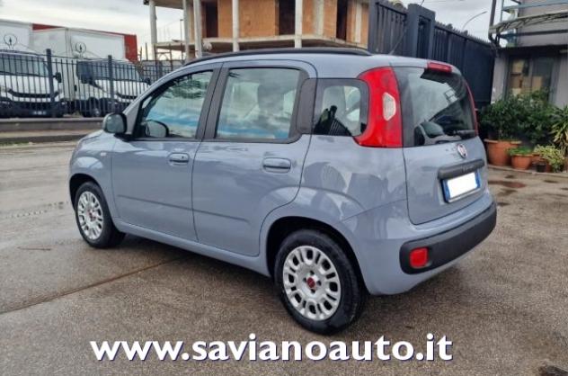 FIAT Panda 1.2 Easy rif. 23903356 - Foto 4