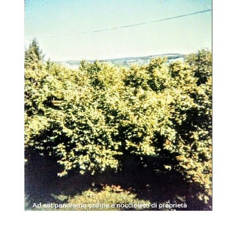 Casa rustica del '700 - Foto 7