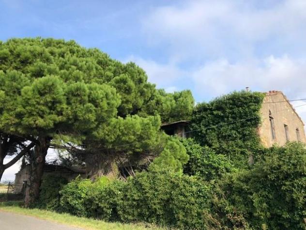 Colonica in vendita a Vada - Rosignano Marittimo 400 mq Rif: 1296852 - Foto 7