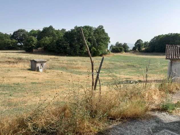 Terreno agricolo con Abitazione E annessi - Foto 6