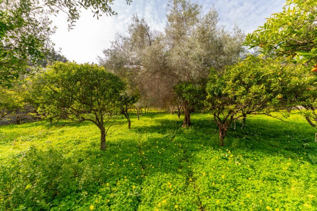 Agricolo in vendita a Catania - Foto 16