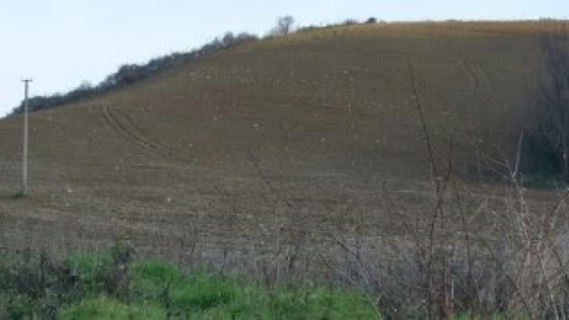 Seminativo in vendita a Mondavio - Foto 9
