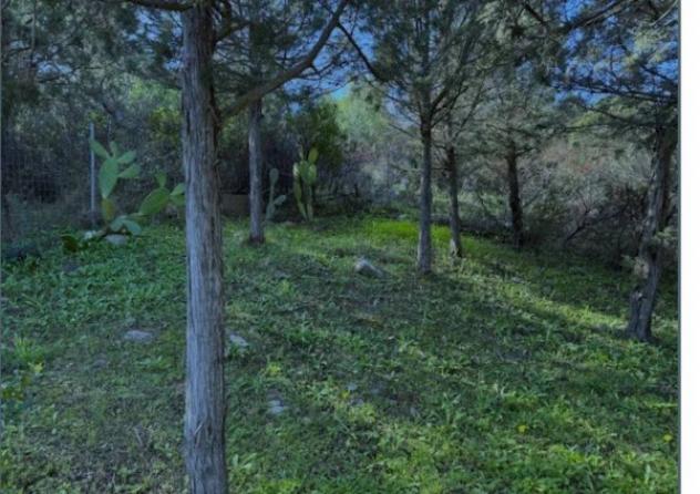Immobile in asta di 12390 m² in vendita a Olbia - Foto 4