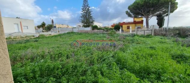 NUBIA – Terreno edificabile di 1.200 mq ca. con immobile totalmente da ristrutturare. Euro 39 MILA - Foto 10
