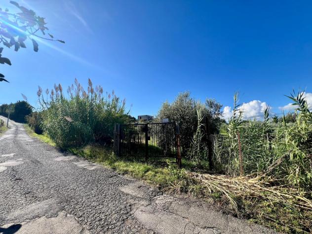 Agricolo in Via Colle Rasto - Foto 6