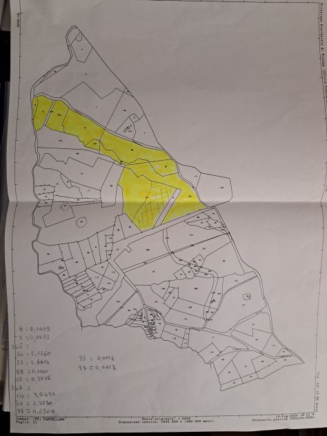 VENDESI TERRENI AGRICOLI