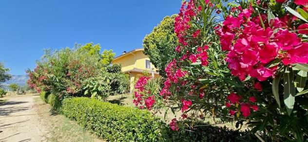 Casale in vendita a Loreto Aprutino - Foto 11