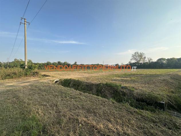 TERRENO AGRICOLO 4.400MQ - Foto 16