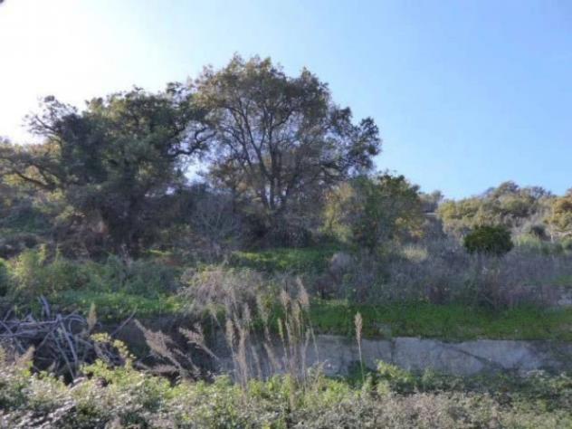 Immobile in asta di 6430 m² in vendita a Casignana - Foto 15