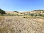 Rustico/Casale/Corte - Empoli . Rif.: Cod. rif 3334860VRG