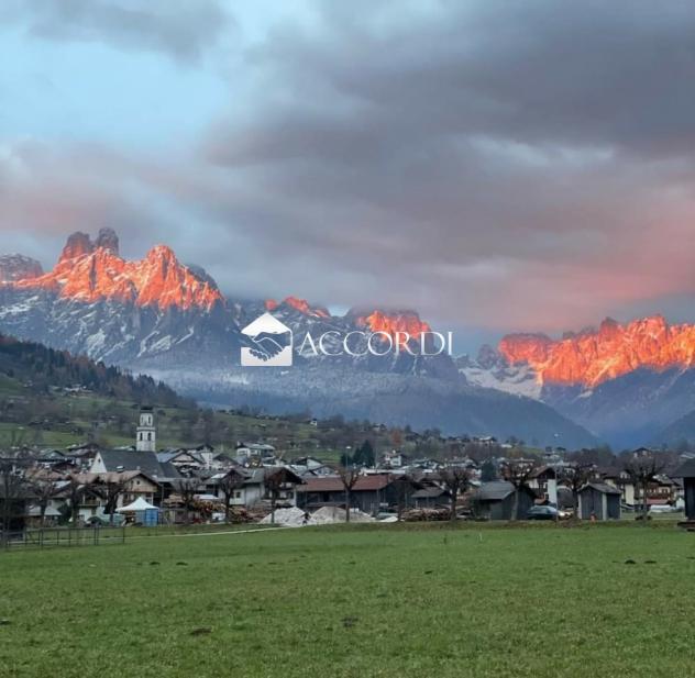NEGOZIO di 3 vani e di 205 mq (PRIMIERO SAN MARTINO DI CASTROZZA) rif. DN364 - Foto 6