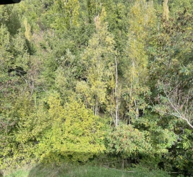 Immobile in asta di 240 m² in vendita a Caramanico Terme - Foto 8