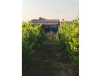 Villa o villino in vendita a Mineo