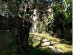 Porzione di villa in vendita a Valverde