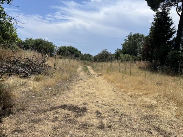 Agricolo in vendita a Belpasso - Foto 9