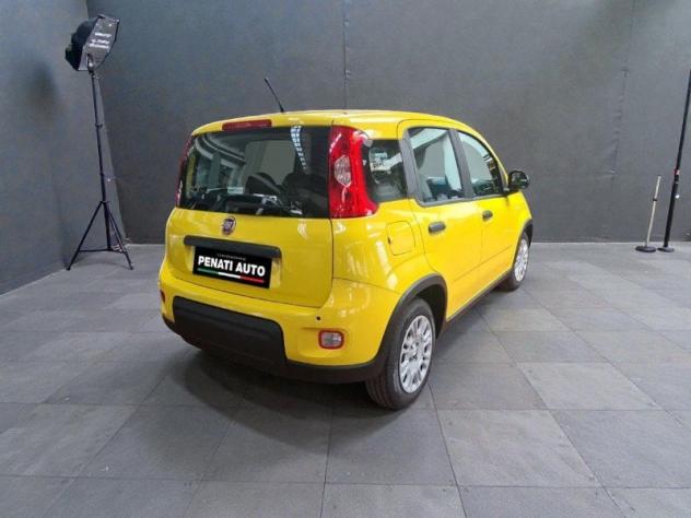FIAT Pandina Pandina 1.0 firefly hybrid Pop 65cv - Foto 8