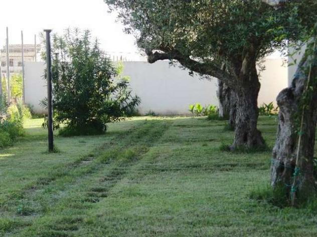 2020_turistico - In affitto a Marsala villetta vacanze in periferia - Foto 8