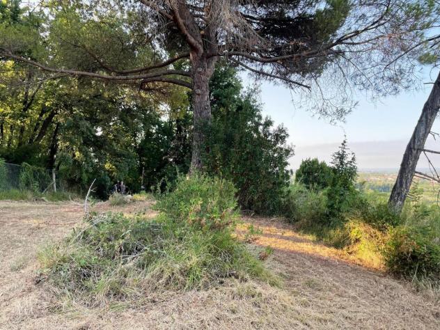 Terreno edificabile in vendita a Castelnuovo Magra - Foto 6