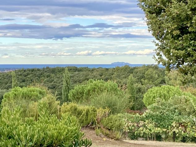 Casale in vendita a Montescudaio - Foto 3