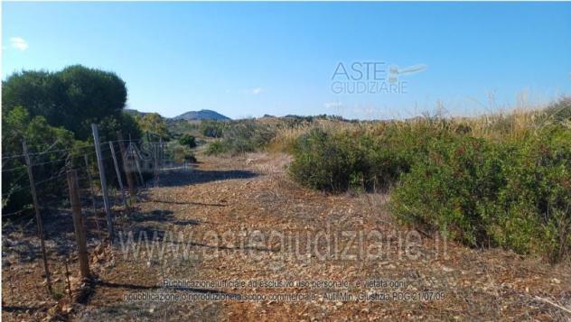 IMMOBILI-ALTRA CATEGORIA-Località Genna su Carru - Foto 3