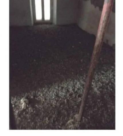 Immobile in asta di 68 m² in vendita a Bomarzo - Foto 6