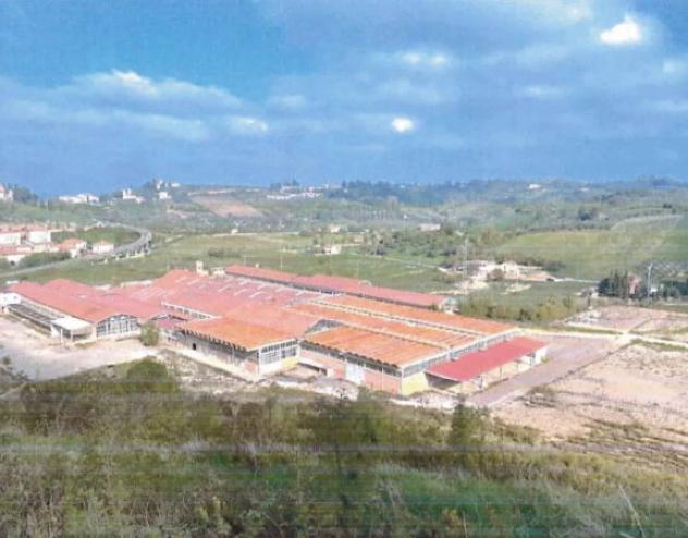 Immobile in asta di 99268 m² in vendita a Castelfiorentino - Foto 4