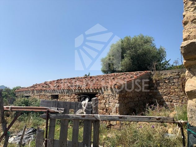 terreno con ruderi e uliveto- ideale per agriturismo o Resort nelle Madonie - Foto 3
