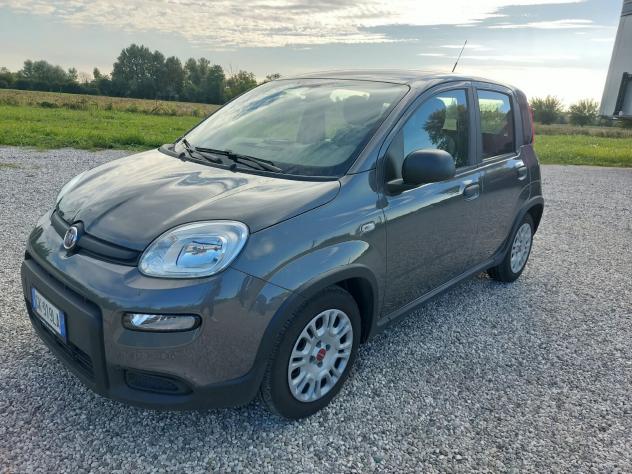Fiat Panda 1.0 FireFly S&S Hybrid 5p 70cv