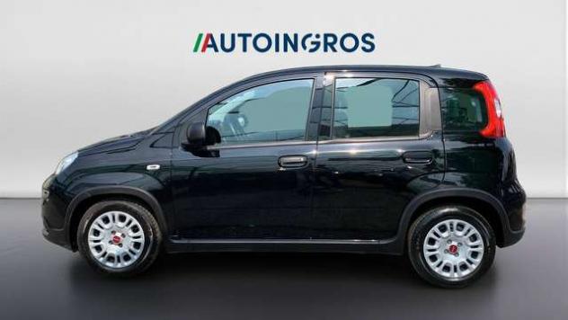 FIAT Panda 1.0 firefly hybrid s&s 70cv - Foto 2
