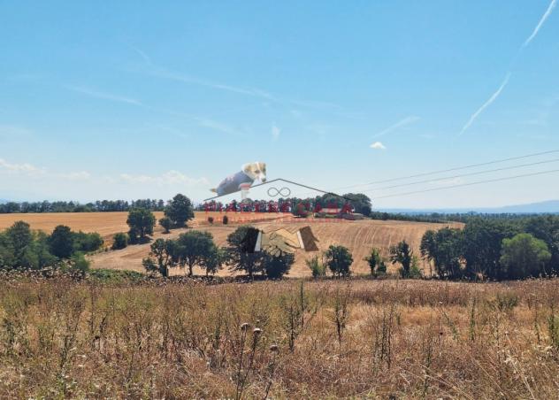 Lubriano - Sul confine tra Orvieto e Lubriano, casale con annessi e 11 ha di terreno in vendita. - Foto 2