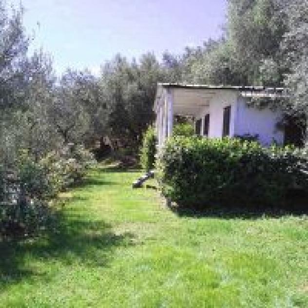 Agriturismo Rose di Pietra di Accame Nicolo' - Foto 3