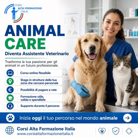 Assistente Veterinario