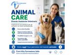 Assistente Veterinario