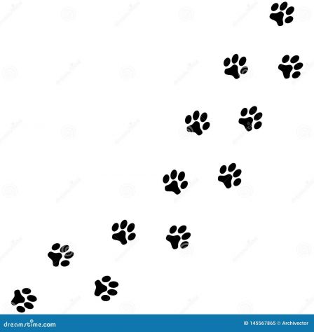 Dog Sitter (Ancona)