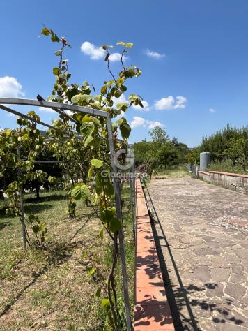 Villa in vendita a Pignola - Foto 12