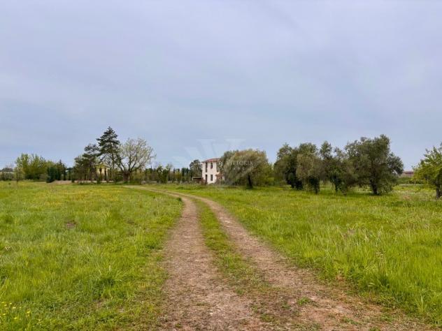 CASALE di 16 vani e di 320 mq (CAMAIORE - Tra Capezzano Pianore e Lido di Camaiore) rif. 423/V - Foto 5