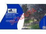 Immobile in asta di 12 m² in vendita a Roggiano Gravina