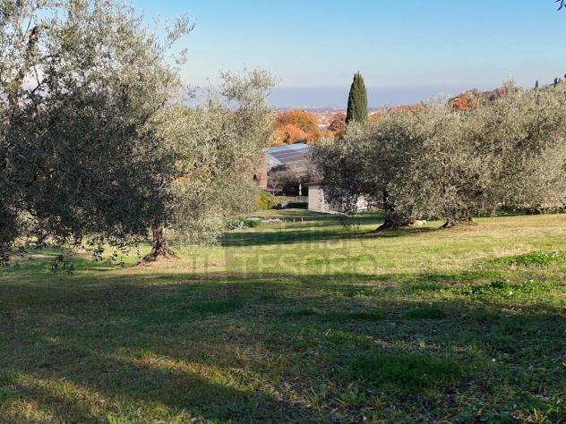 Uliveto in vendita a Verucchio - Foto 2