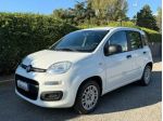 FIAT Panda 1.2 Easy NEOPATENTATI - CLIMA - RADIO - CD rif. 24186493