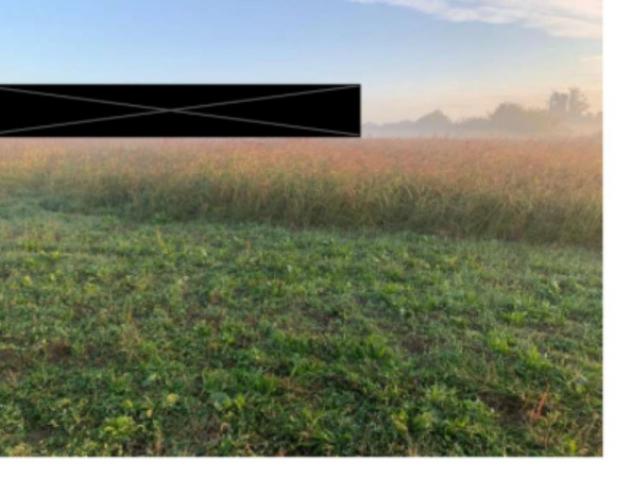 Immobile in asta di 17 m² in vendita a Suzzara - Foto 10